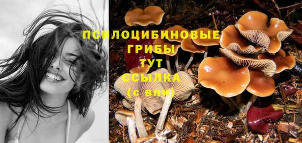 таблы Пересвет