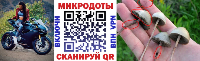Галлюциногенные грибы MAGIC MUSHROOMS  магазин продажи наркотиков  Долинск 